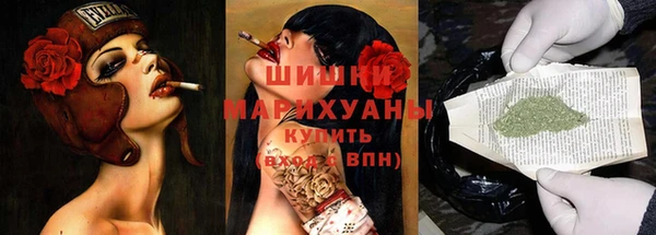 амф Пересвет
