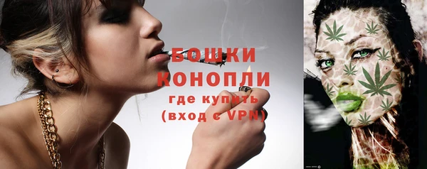 амф Пересвет