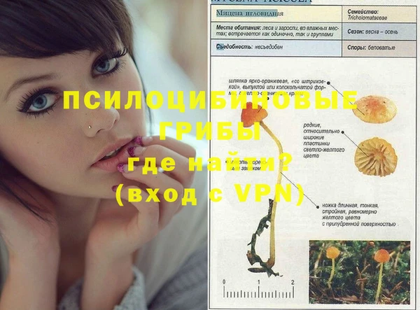 крисы Пестово