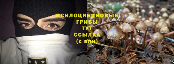 крисы Пестово