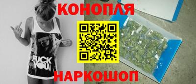 скорость Кингисепп