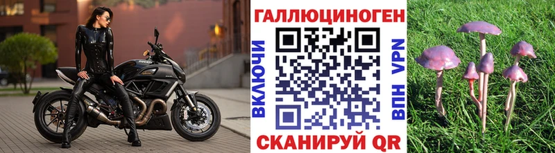 Псилоцибиновые грибы Psilocybine cubensis  Рузаевка 