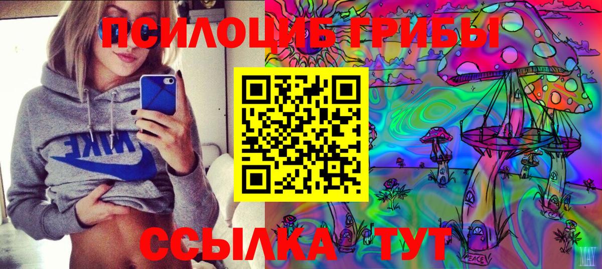 где найти наркотики  Рузаевка  Псилоцибиновые грибы мухоморы 