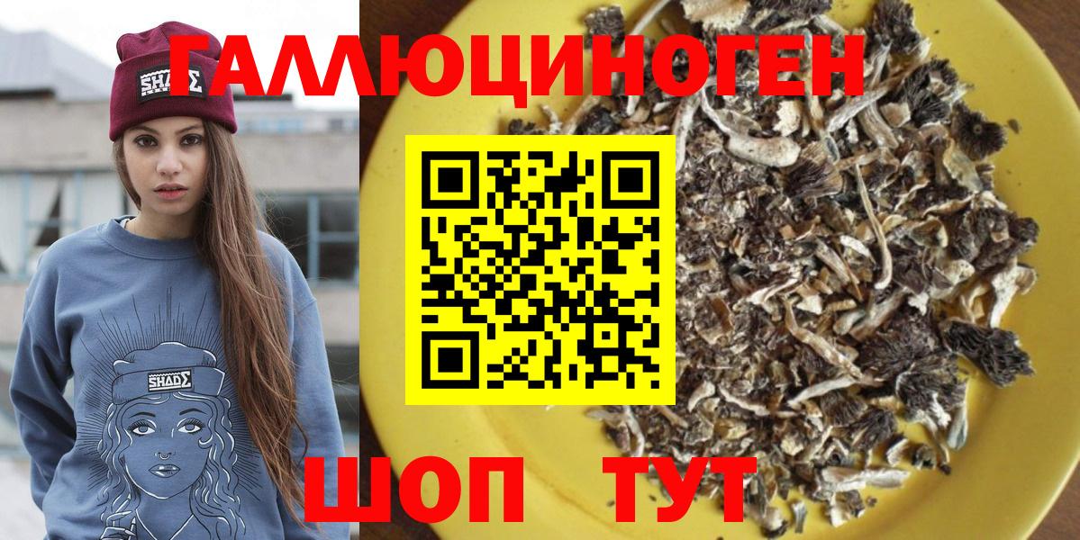 Галлюциногенные грибы Magic Shrooms  Вход с VPN  Галлюциногенные грибы Magic Shrooms  Рузаевка 
