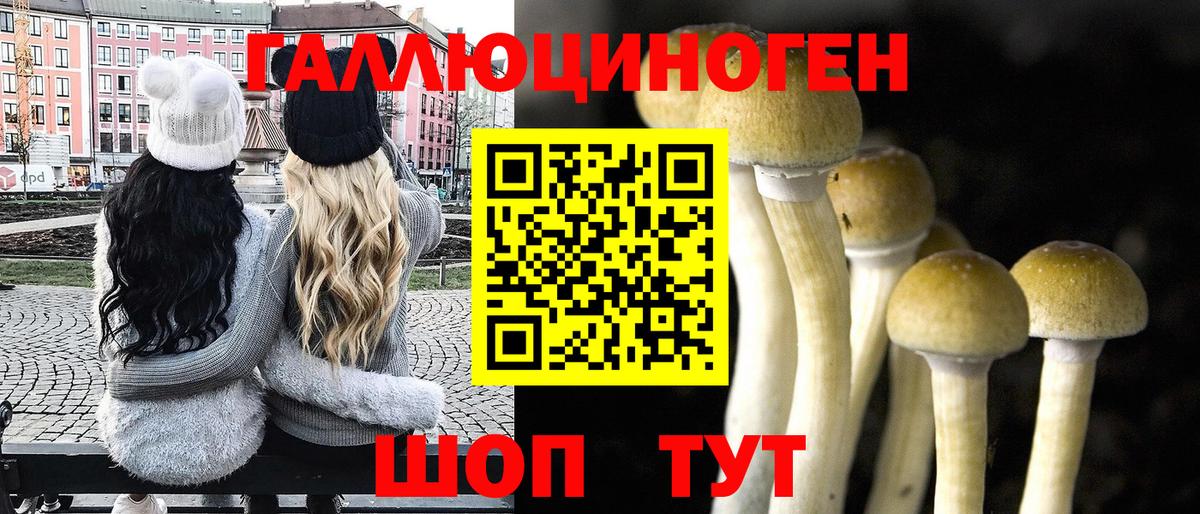 Галлюциногенные грибы Psilocybe Рузаевка